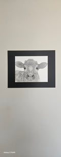 Moo Moo Cow (2023)